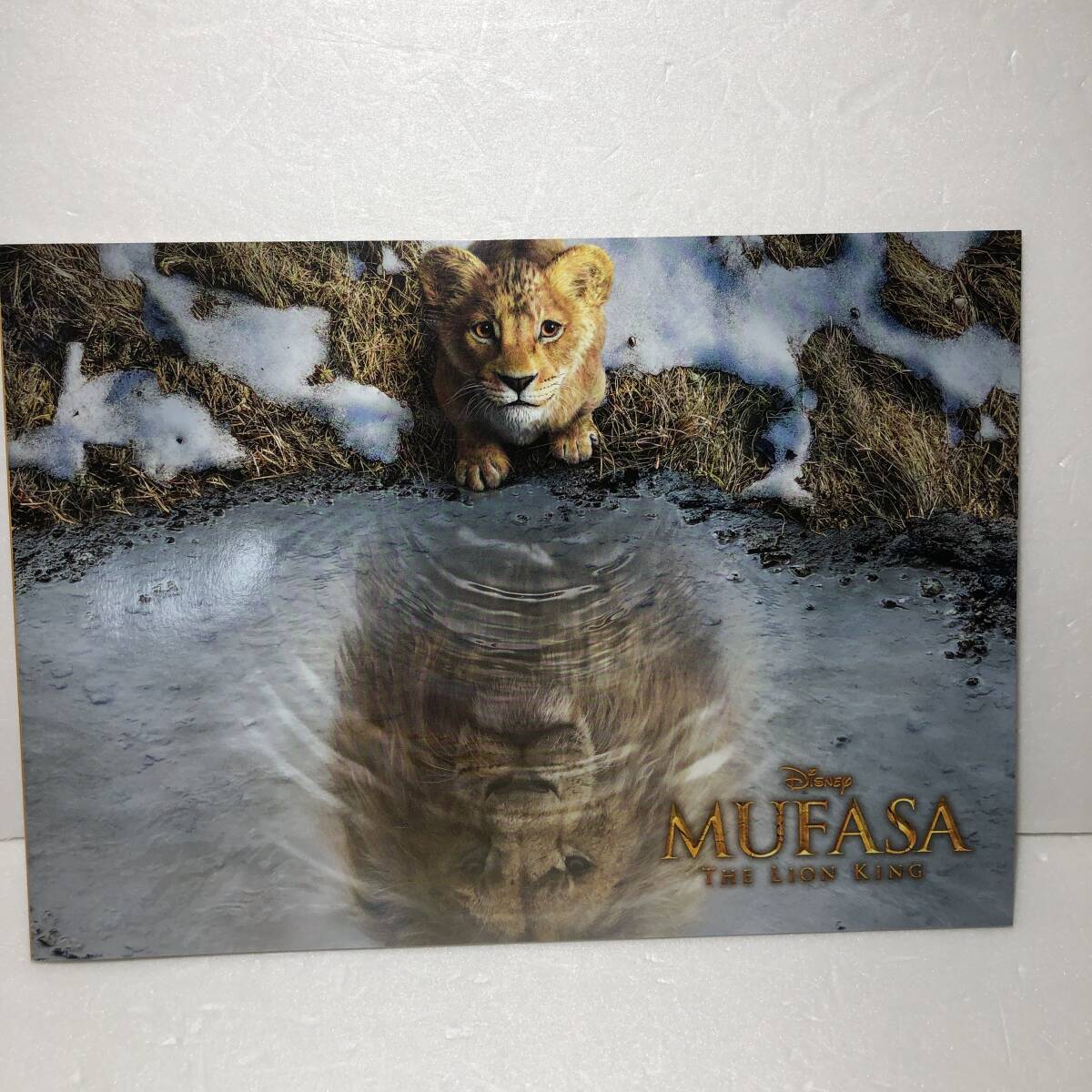 美品★映画パンフレット★ライオンキング ムファサ MUFASA THE LION KING パンフレット拍卖