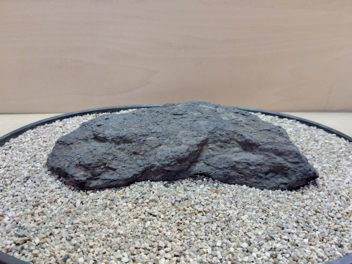 水石 「瀬田川石」穏やかな岩形 ウブ石 幅 165 x 高さ 28 x 奥行 70mm 重さ400g程度拍卖