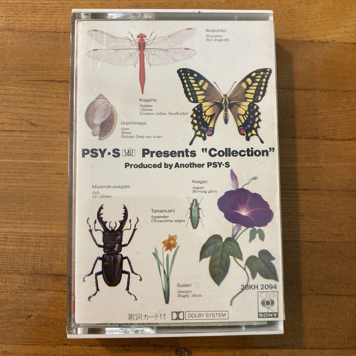 カセットテープ PSY・S Presents Collection サイズ プレゼンツ コレクション saiz psys 松浦雅也 28KH 2094拍卖