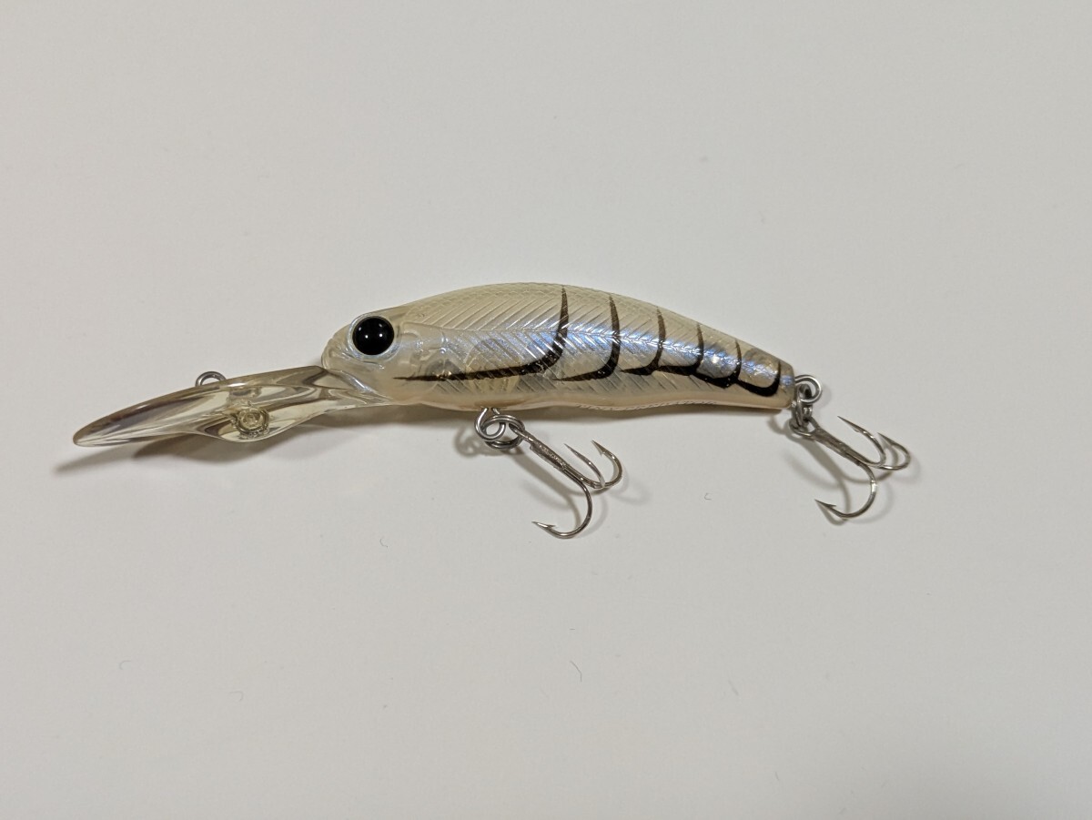 エバーグリーン タイニー プレデター  EVERGREEN TINY PREDATOR ②拍卖