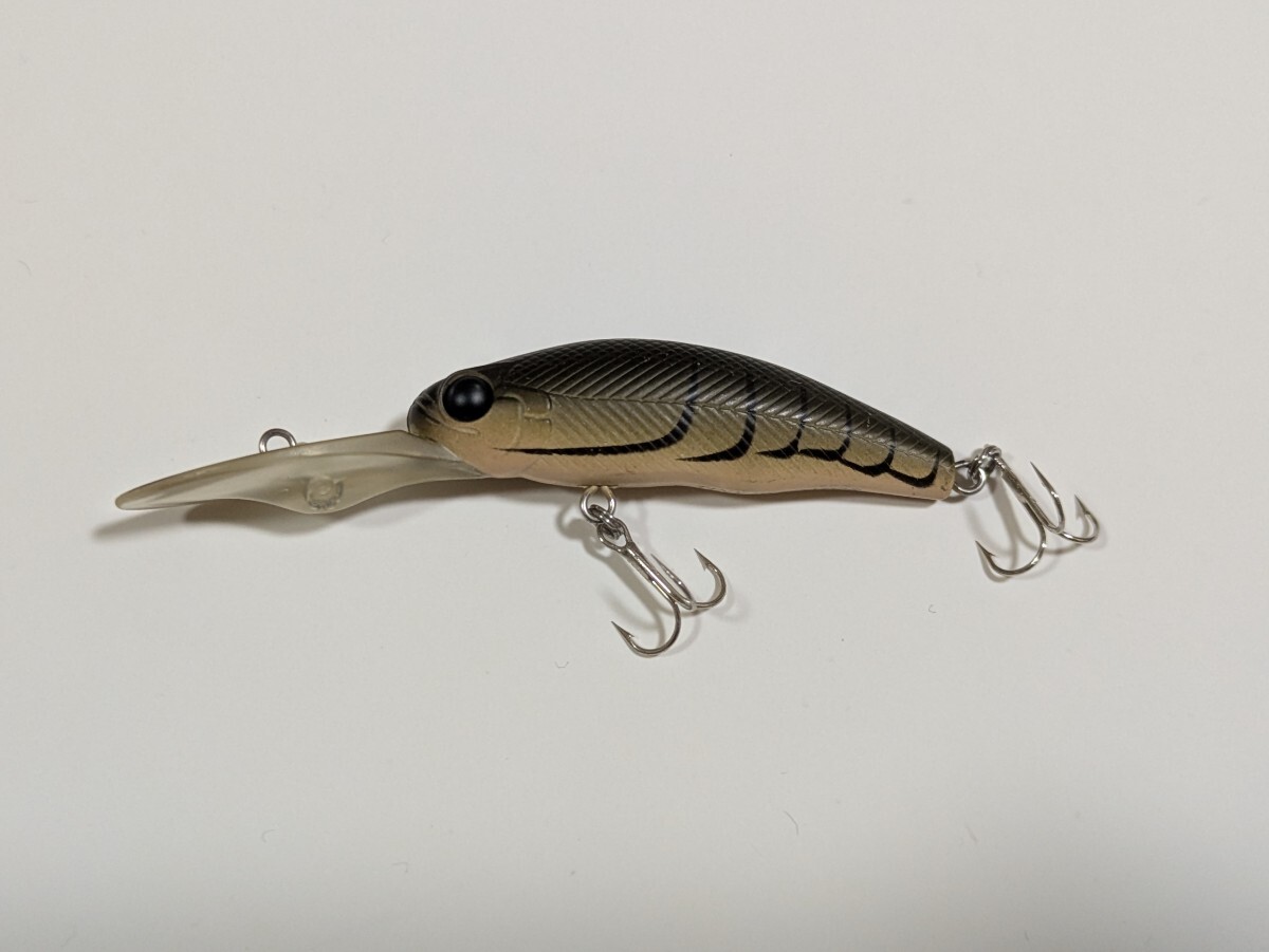 エバーグリーン タイニー プレデター  EVERGREEN TINY PREDATOR ④拍卖