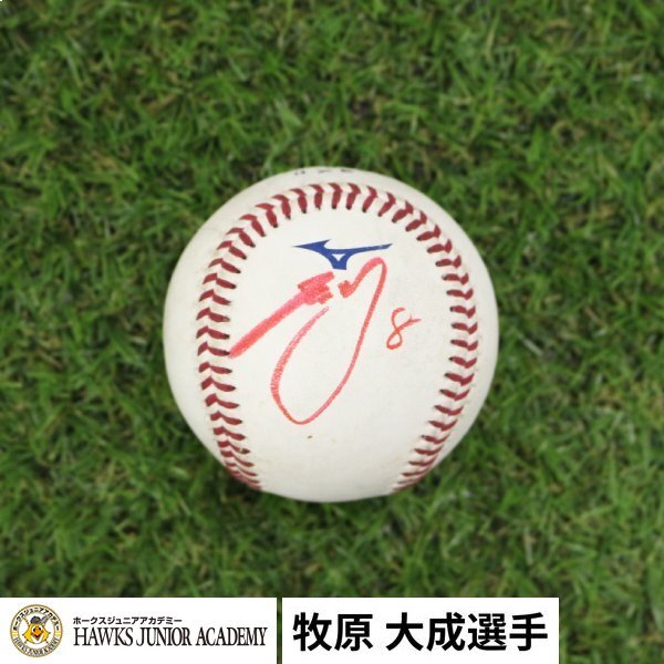 牧原大成選手 8/2 ヒーローボール拍卖