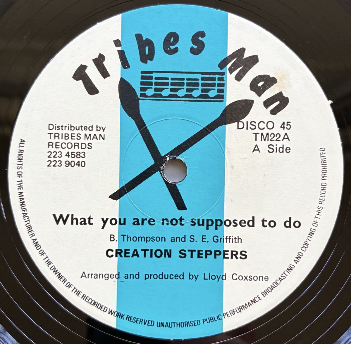 Creation Steppers / What You Are Not Supposed To Do ◎ Tribes Man Records 拍卖