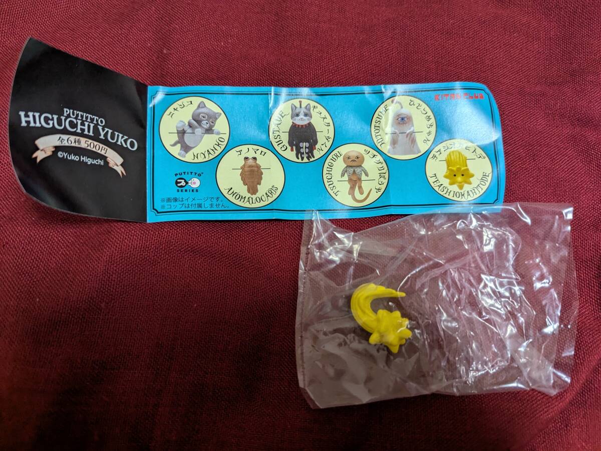 ツチグリぼうや テアシオカヒトデ 2種セット PUTITTO ヒグチユウコ HIGUCHI YUKO ガチャ キタンクラブ 新品拍卖