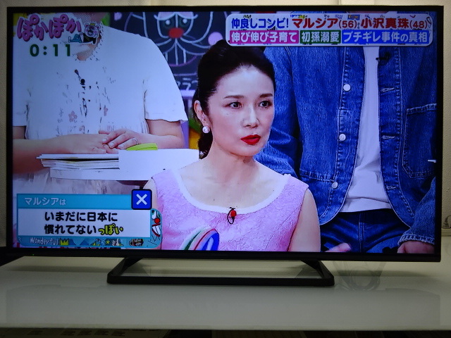 No215★panasonic★49型 LED/USB/外付けHDD/テレビ/2016年製★TH-49D305拍卖