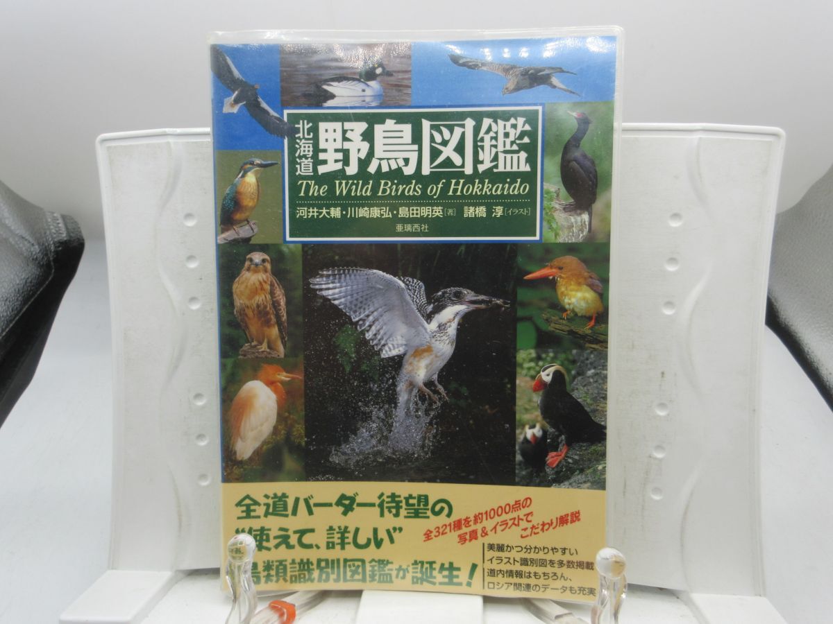 G4■北海道野鳥図鑑 【著】河井大輔 他【発行】亜璃西社 2004年 ◆並■YPCP拍卖