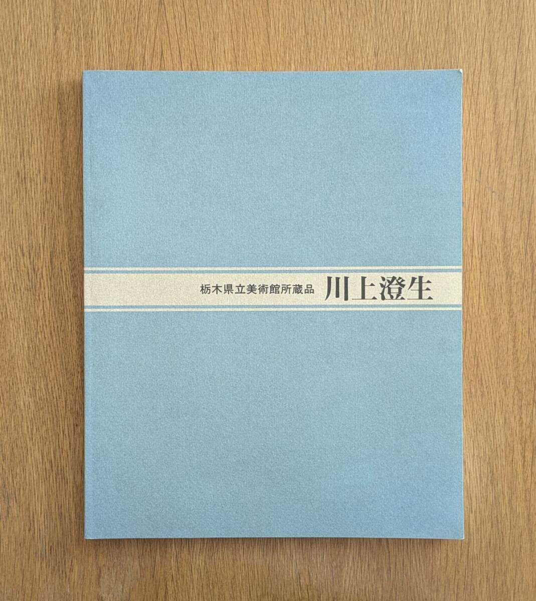 図録 栃木県立美術館所蔵品 川上澄生 版画・絵画拍卖