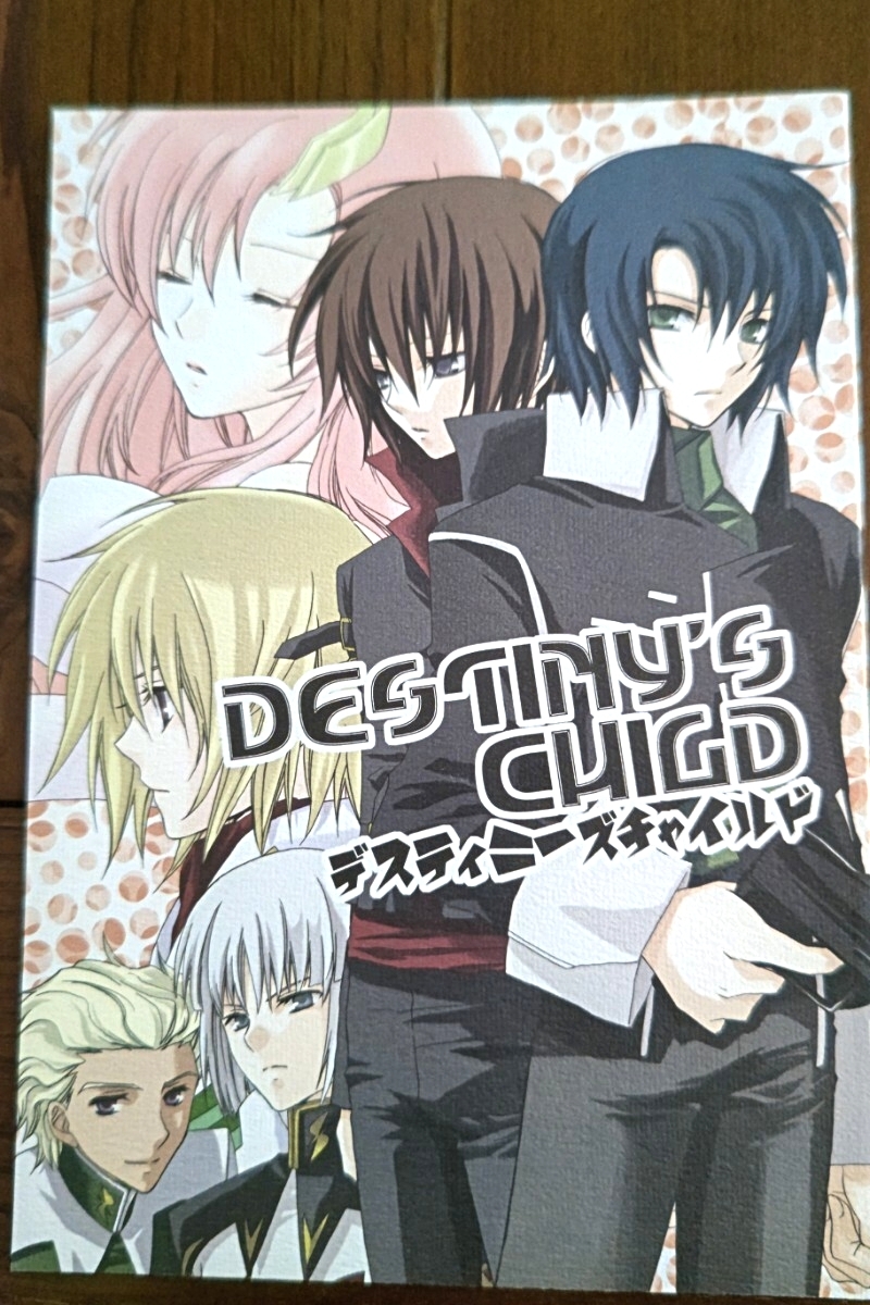 アスキラ 「DESTINY CHILD」 brain drive拍卖
