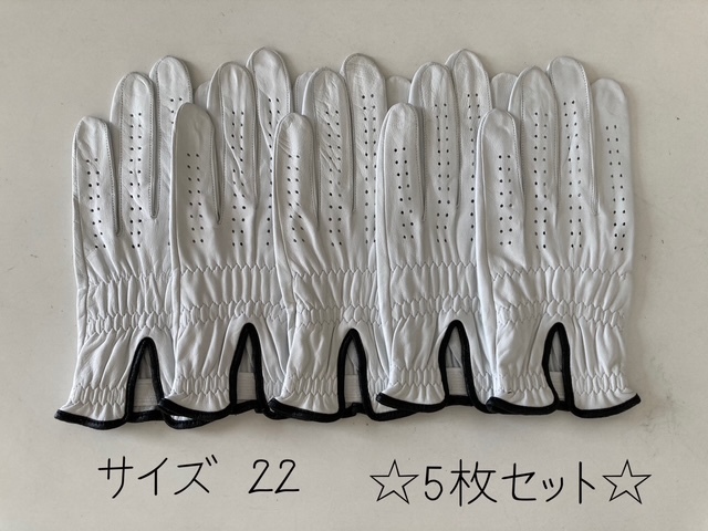 ★在庫処分価格★ 【送料185円】◆ゴルフ 手袋 左手 ゴルフグローブ 白 ホワイト系統 サイズ 22 5枚セット ③拍卖