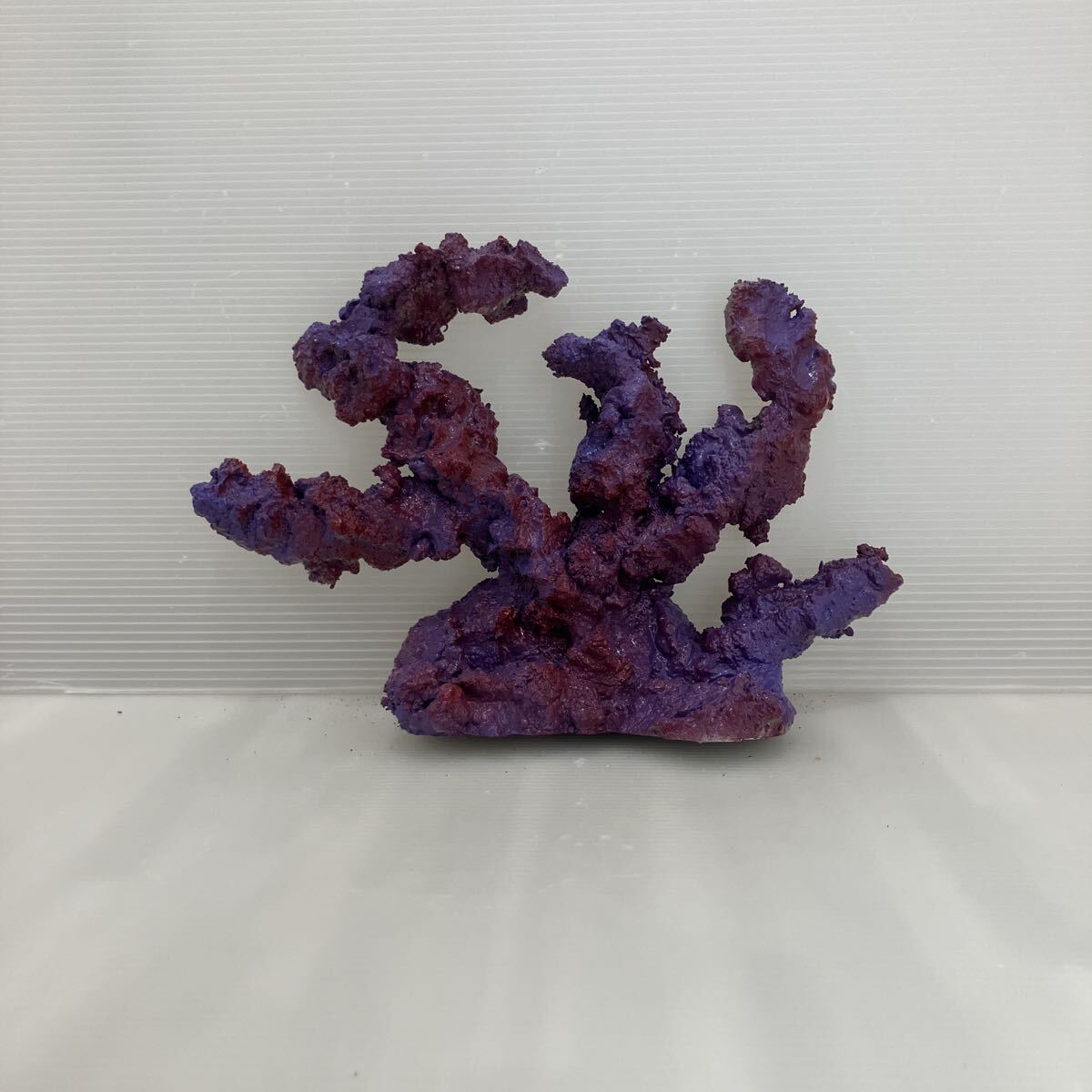 【現物】ライブロック No.9(海水魚、サンゴ、バクテリア、背景、レイアウト、水槽)拍卖