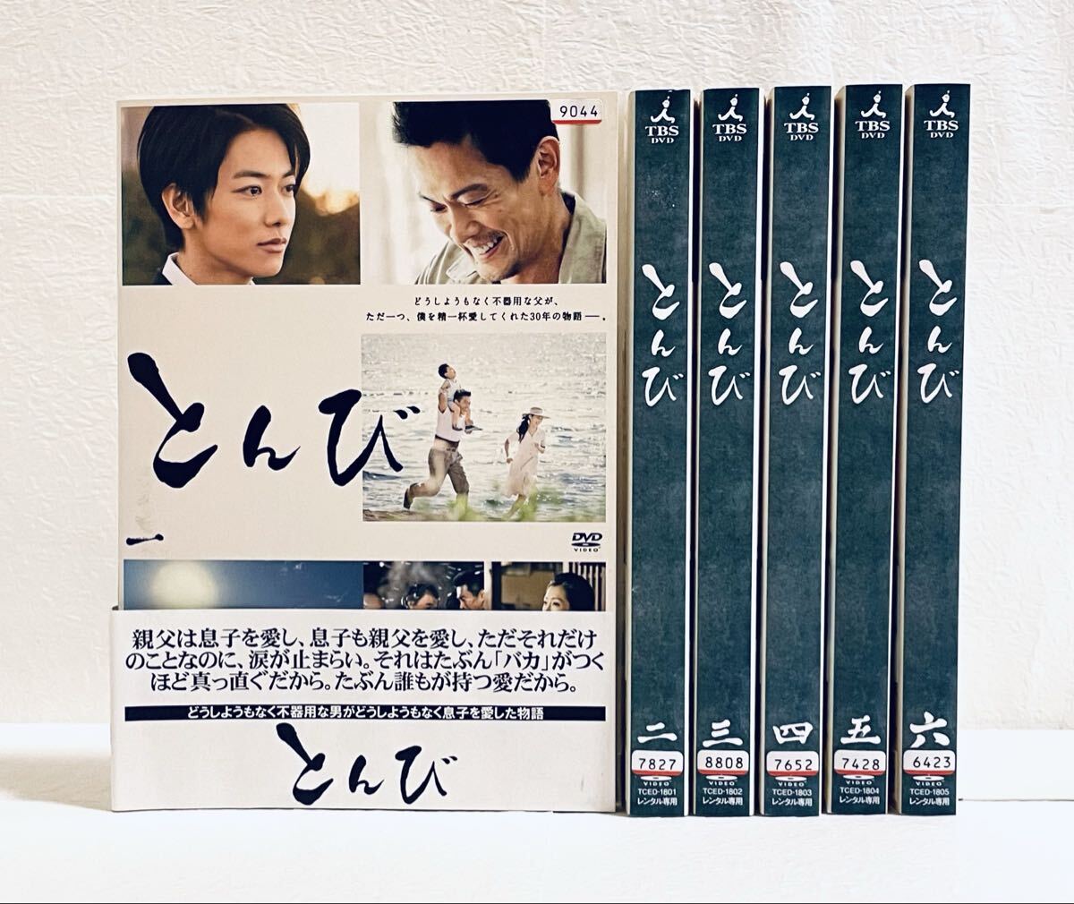 とんび 【全6巻】 レンタル版DVD 全巻セット 内野聖陽 佐藤健拍卖