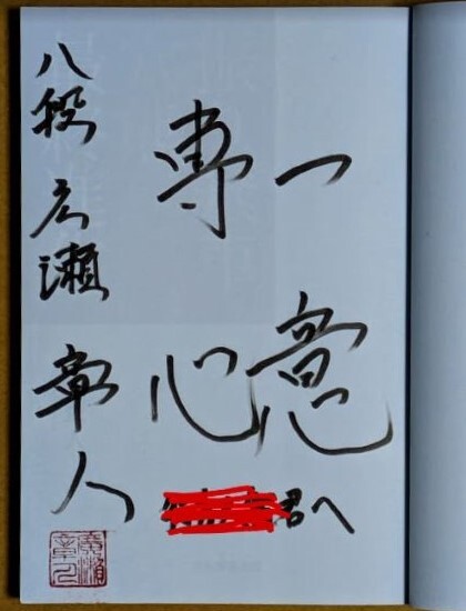 広瀬章人八段 「振り飛車穴熊の最終進化」 サイン入り 2015年 対居飛車穴熊拍卖