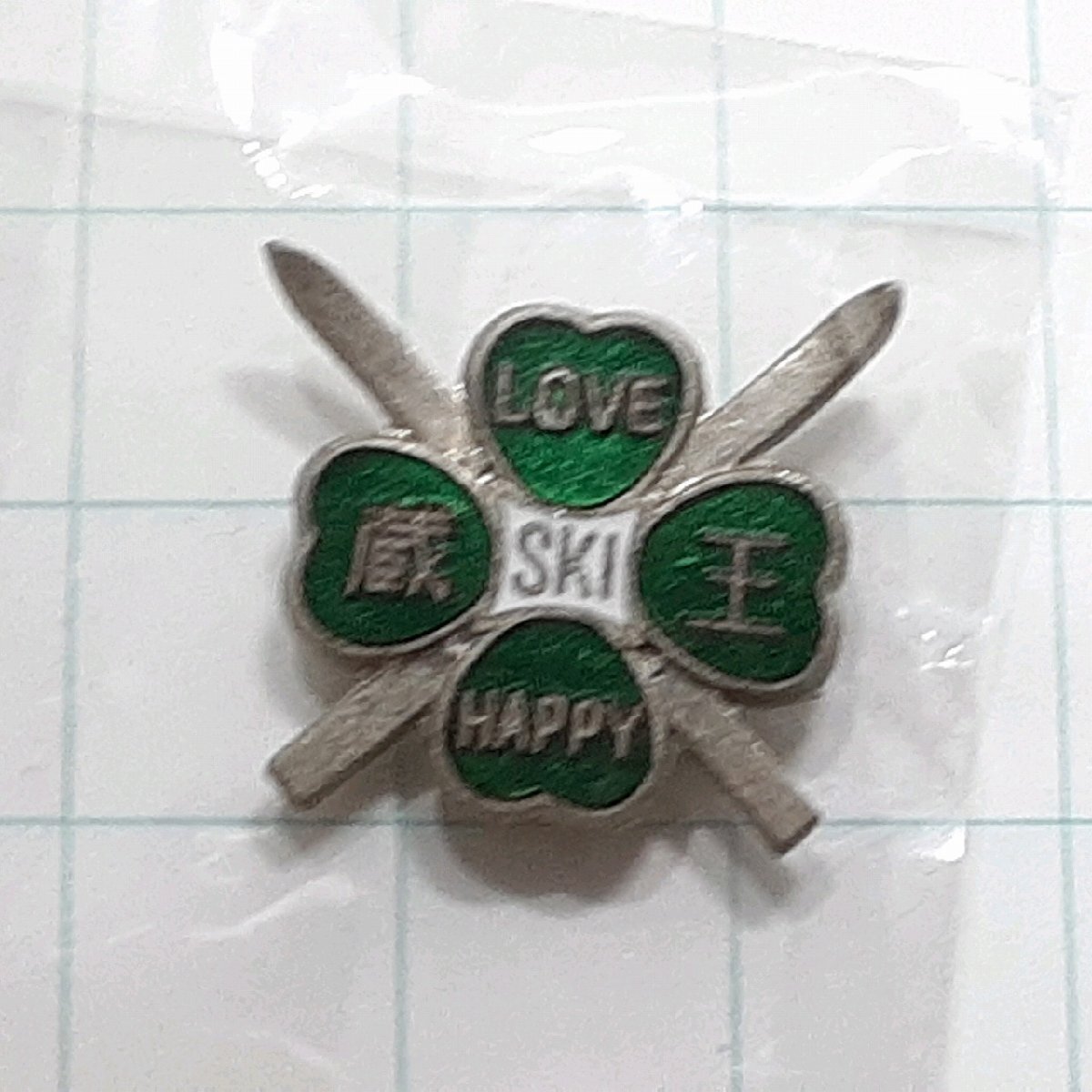 送料無料)蔵王スキー 観光 旅行 登山 記念 山バッジ ピンバッジ PINS ピンズ A31506拍卖