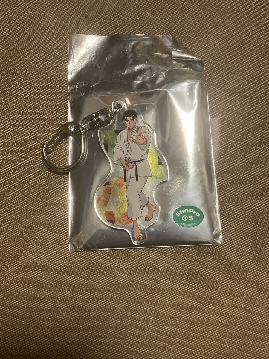 京極真 アクリルキーホルダー 名探偵コナン 青紺の美術館からの脱出拍卖