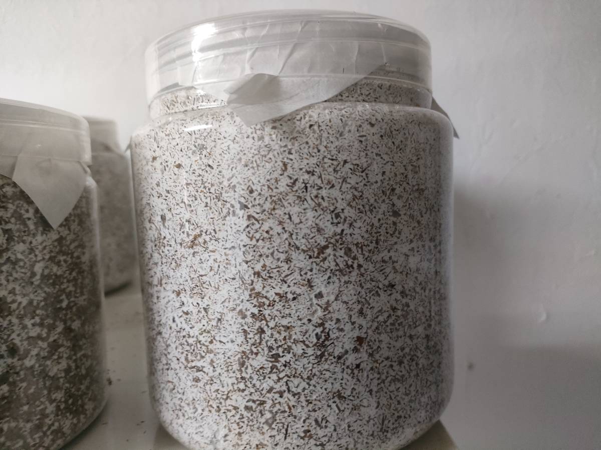 OVER80 LLブロー2000cc 8本入り ¥950@土日月発送送料¥200-引き拍卖