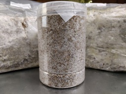 OVER80 Mブロー24本入り¥400@土日月発送送料200円引き!拍卖