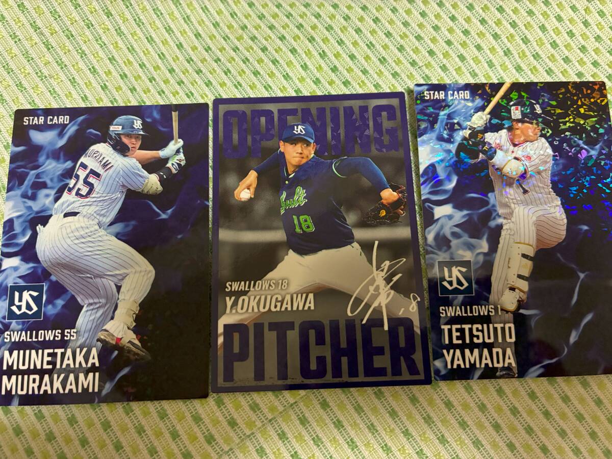 2025 第2弾 ヤクルト 全10種 通販限定含フルコンプ 奥川 村上 山田 サンタナ 赤羽 長岡 石川 吉村 山野 つば九郎 カルビー 即決 送110円~拍卖