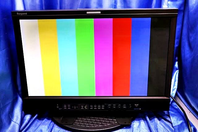 定価143万円 Ikegami 池上 25型マルチフォーマット有機EL(OLED)マスターモニタ HEM-2570W 放送 業務用 59587Y拍卖