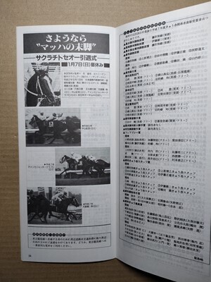 競馬 JRA レープロ960107東京 京成杯サクラスピードオー/スクリーンヒーロー母/リュウノユキナ祖母/サクラチトセオー引退式/ビコーペガサス拍卖