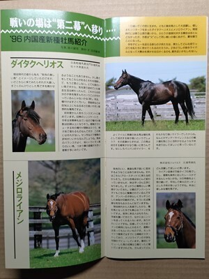 競馬 JRA レープロ960616札幌 タイキシャーロック/マイネルスピリット/マルゼンシーズ/ダイタクヘリオス・メジロライアン /Yメジロパーマー拍卖