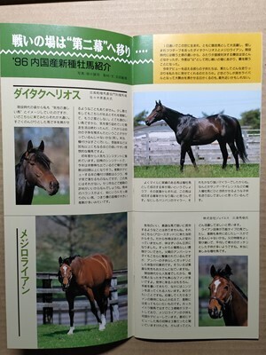 競馬 JRA レープロ960623札幌 オギティファニー/ブランドセレナーデ/メジロシンドウ /ダイタクヘリオス・メジロライアン /Yメジロパーマー拍卖