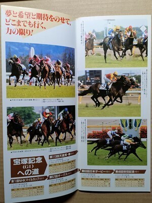 競馬 JRA レープロ960706中山七夕賞サクラエイコウオー/フジヤマケンザン ニフティダンサー ツインターボ リーゼンシュラーク シーキャリア拍卖