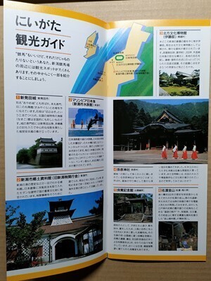 競馬 JRA レープロ960714新潟 タイブルース/シンコウスプレンダ/カリプソパンチの母/トーシンブリザードの母 /にいがた観光&夏祭りガイド拍卖