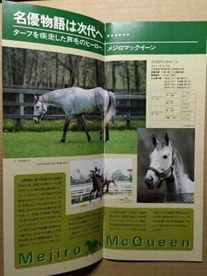 競馬 JRA レープロ960720札幌 ケイエスミラー/カチウマキャシー/アストンマーチャンの母 /種牡馬メジロマックイーン Yスカーレットブーケ拍卖