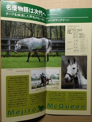 競馬 JRA レープロ960721札幌ウインテンダネス祖母/ヤマニンサルバム祖母/ビッググラス母/メジロマックイーンお披露目 Yスカーレットブーケ拍卖