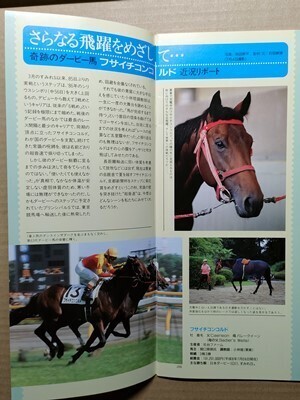 競馬 JRA レープロ960803函館 コクトジュリアン/ツクバノーブル/シーズプリンセス マイネルマックス/フサイチコンコルド Yニッポーテイオー拍卖