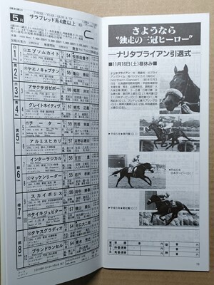 競馬 JRA レープロ961116東京 アル共エルウェーウィン ナイスネイチャラストラン/ナリタブライアン引退式/Hゴーゴーゼットムッシュシェクル拍卖