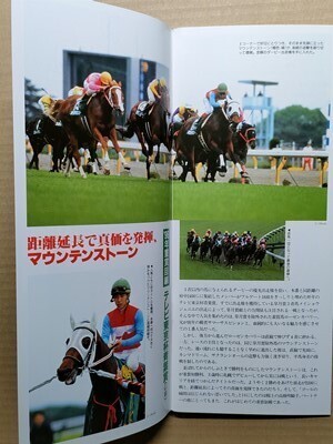 競馬 JRA レープロ970503東京 青葉賞トキオエクセレント/#マウンテンストーンHエアダブリンサクラローレル ステージチャンプラリーキャップ拍卖