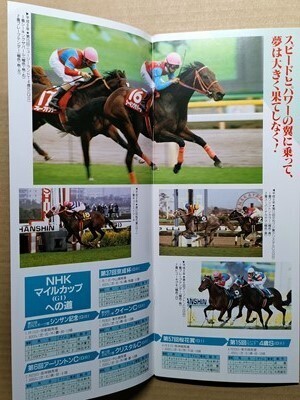 競馬 JRA レープロ970510東京 京王杯スプリングCタイキブリザード /プリンシパルSサイレンススズカ-マチカネフクキタル /Hヤマニンゼファー拍卖