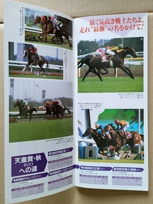 競馬 JRA レープロ971025東京トーヨーレインボー/マイネルキッツの母/バブルガムフェロー マーベラスサンデー シンカイウン メジロドーベル拍卖