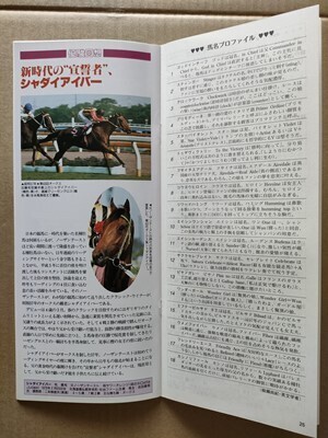 競馬 JRA レープロ990530東京 オークス /Mシャダイアイバー #エリモエクセル Hメジロドーベル・エアグルーヴ・ダンスパートナー拍卖