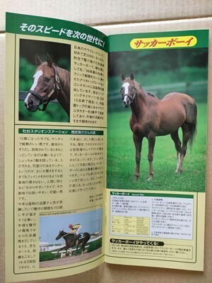 競馬 JRA レープロ990912札幌 道新杯 ヴィクトリーバンク /ノボジャック初出走 /種牡馬展示サッカーボーイ /Yビワハイジ拍卖