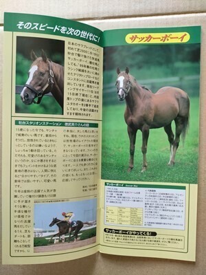 競馬 JRA レープロ990919札幌 STV賞イカルスドリーム レディブラッサム /種牡馬展示サッカーボーイ /Yビワハイジ 読物エルコンドルパサー拍卖