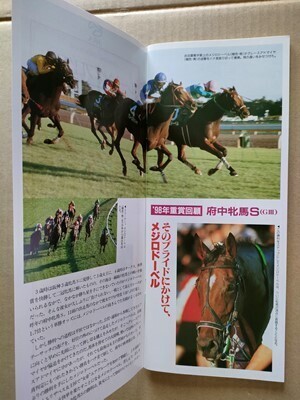 競馬 JRA レープロ991016東京 #メジロドーベル Uスペシャルウィーク キングヘイロー マチカネフクキタル スターマン 読物ナイスネイチャ拍卖