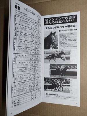 競馬 JRA レープロ991128東京 ジャパンC スペシャルウィーク /エルコンドルパサー引退式 /Yピルサドスキー Sモンジュー ステイゴールド拍卖