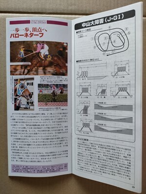 競馬 JRA レープロ991218中山大障害 ゴッドスピード /Yバローネターフ Sタイキシャトル フラワーパーク ヒシアケボノ サクラバクシンオー拍卖