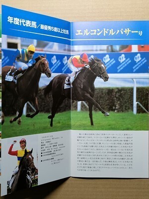 競馬 JRA 冊子 競馬博物館 1999年度JRA賞展 [年度代表馬エルコンドルパサー グラスワンダー スペシャルウィーク オペラオー ドーベル 武豊拍卖
