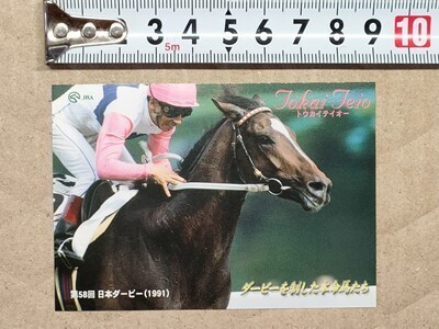 競馬 JRA 非売品 ダービー馬カード トウカイテイオー 安田隆行 1991年拍卖