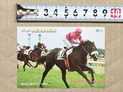 競馬 JRA 非売品 ダービー馬カード ナリタブライアン 南井克巳 1994年拍卖