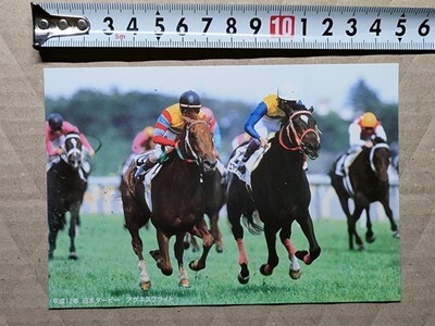 競馬 絵はがき 非売品ポストカード JRA アグネスフライト 日本ダービー(横エアシャカール)拍卖