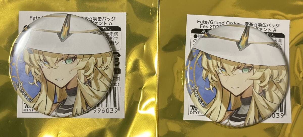 Fate/Grand Order Fes. 2025 FGO fes フェス 2025 霊基召喚缶バッジ バーゲスト 2個セット拍卖