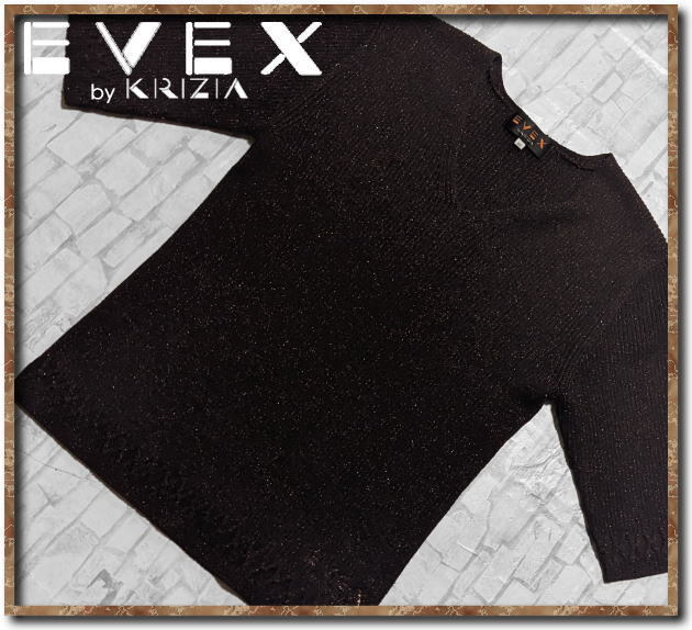 ☆EVEX by KRIZIA エヴェックスバイクリツィア 刺繍&ラメ入りVネックニット 茶☆拍卖