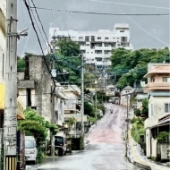 ◆奇跡の新品◆即完売◆LPレコード 田中ヤコブ IN NEUTRAL アナログ ANALOG 草野マサムネ(スピッツ)、aiko、岸田繁(くるり)推薦の家主Vo拍卖