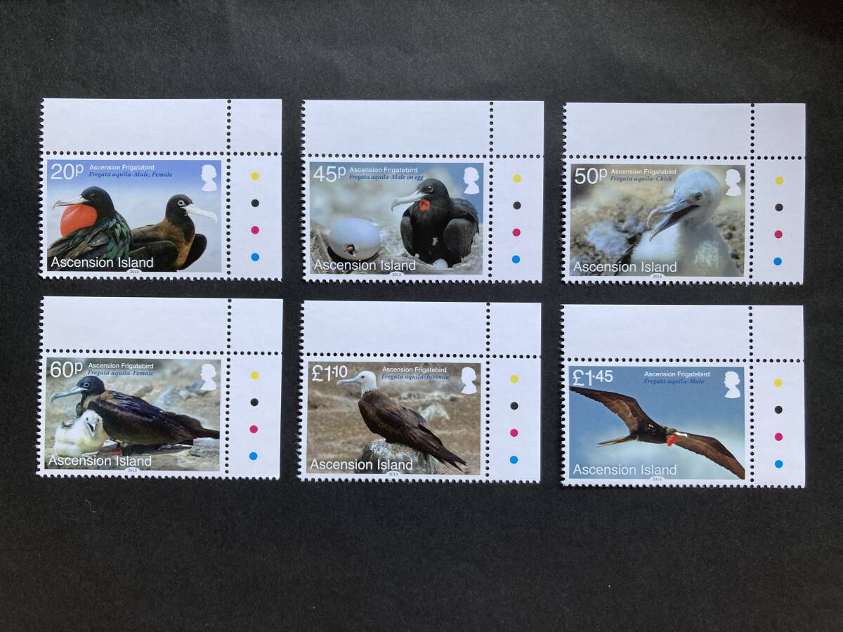 外国切手: (イギリス海外領土)アセンション島切手 「グンカンドリの再導入」(メスグログンカンドリ)6種完 未使用拍卖