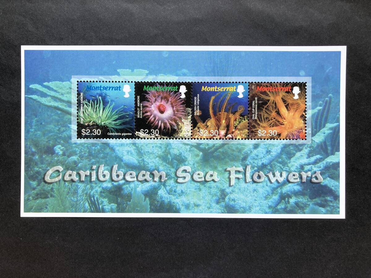 外国切手: (イギリス海外領土)モントセラト切手 「カリブ海地域のシーフラワー」(ウメボシイソギンチャク ほか)4種m/s 未使用拍卖
