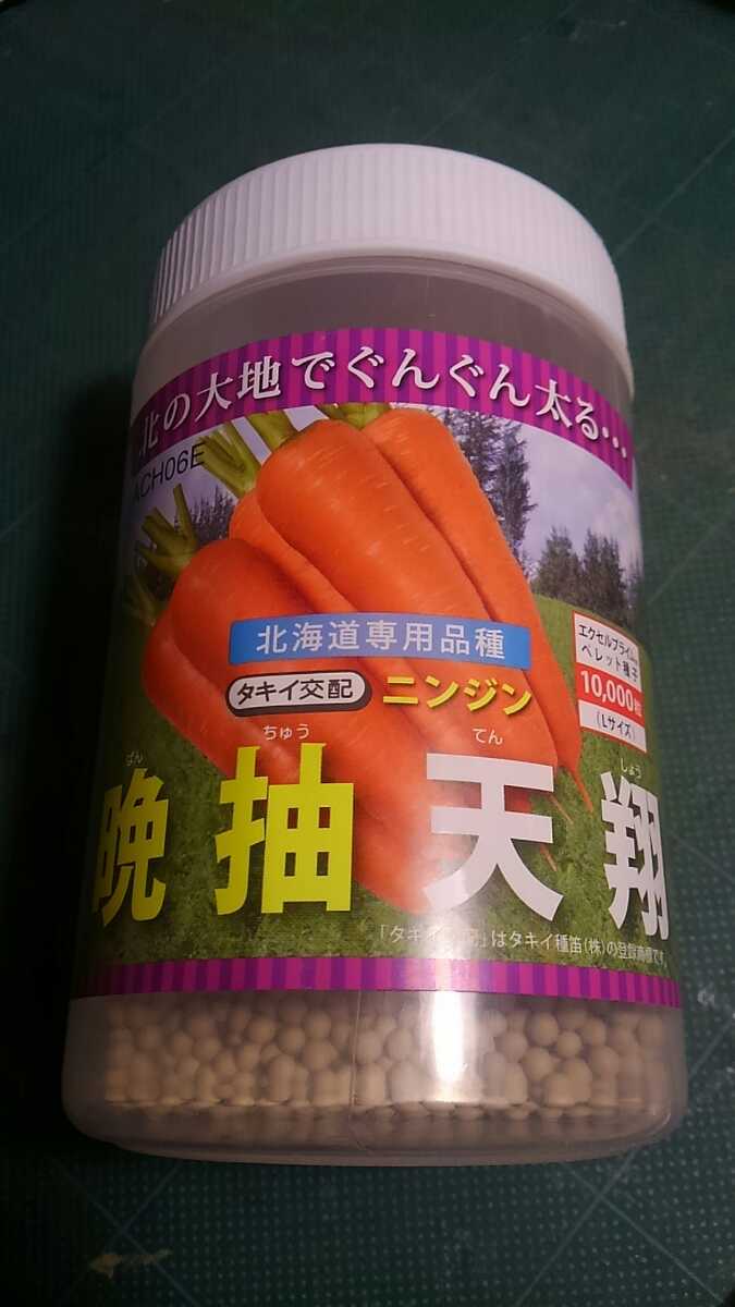 春・夏まき人参の種 品種名 晩抽天翔 約150粒 タキイ拍卖